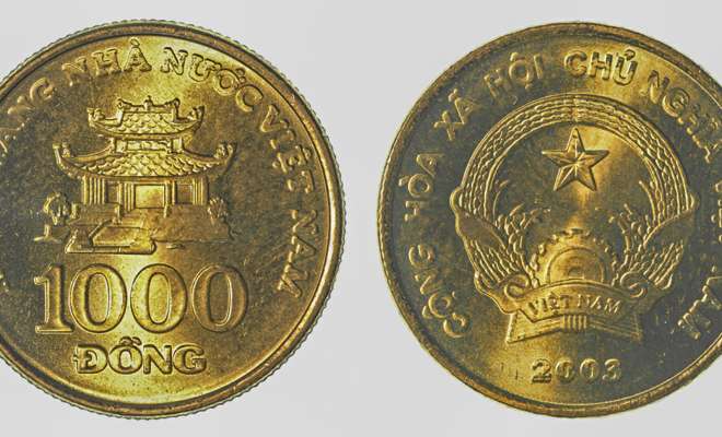 Vietnamese Dong coin
